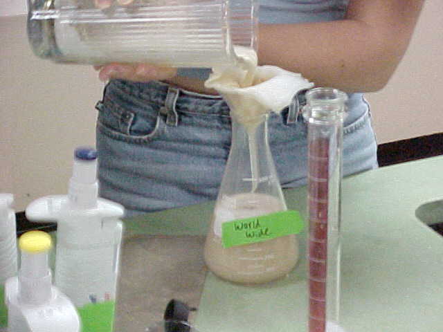 Our Worldwide protein bar solution