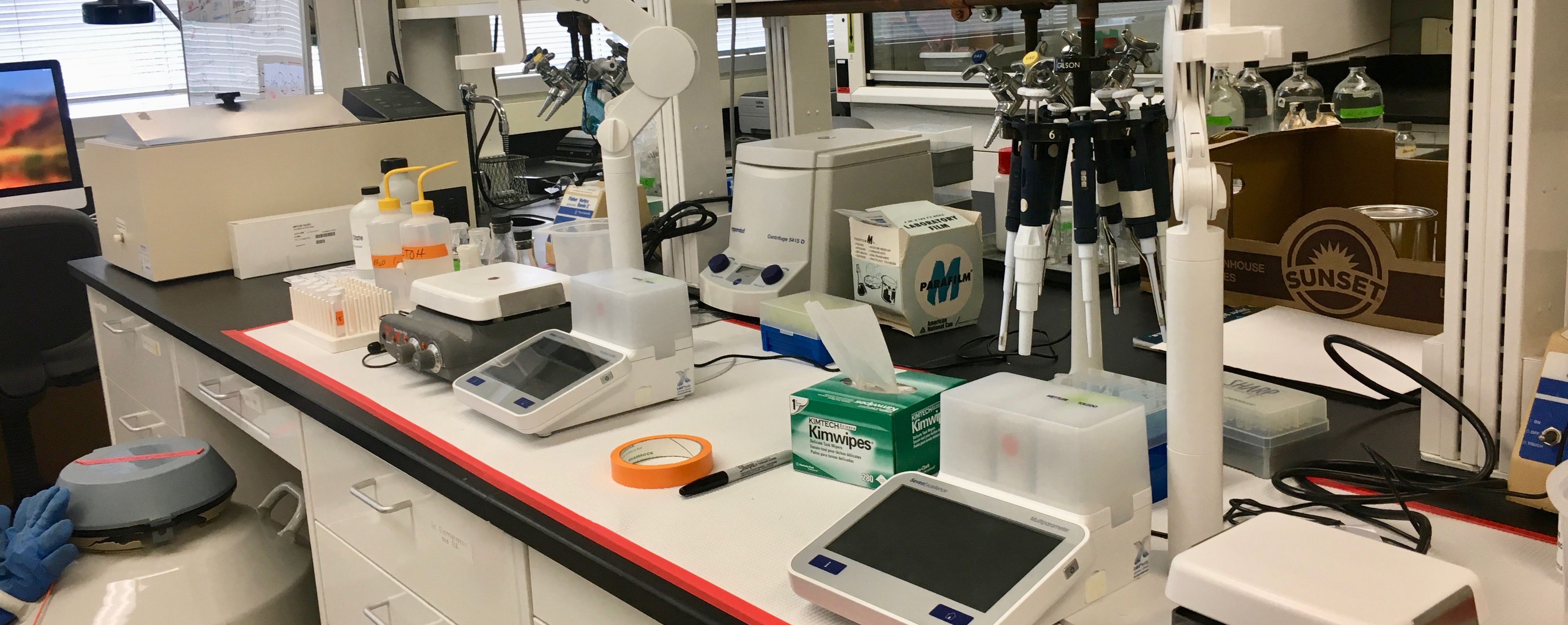 photo of lab bench