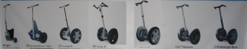 Ginger Evolution Museum photo